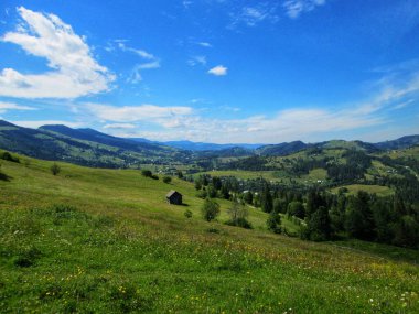 Doğanın Görkemli Duvar Halısı: Tepelerin Panoramik Vista 'sı, Verdant Meadows