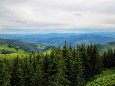 Görkemli bir dağ sırası ve yemyeşil ormanların panoramik görüntüsü.