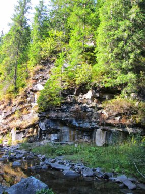 Yoğun yeşil orman ve yüksek uçurumlarla çevrili bir dere boyunca manzaralı kayalık bir sahil.