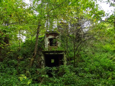 abandoned, bunker, forest, seed bank, storage, preservation, concrete, overgrown, trees, plants, green, moss, ruins, old, historical, forgotten, agriculture, botany, science, research, rural clipart