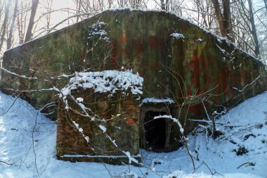 Eski tohum deposu doğayla kaplı.