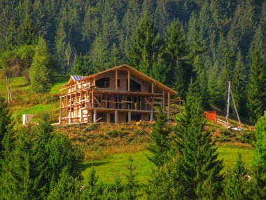 Yoğun bir ormanın ortasında ev inşaatı