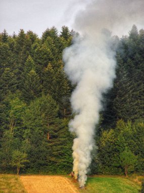 Yanan bir tarladan yükselen duman havayı kirletiyor.