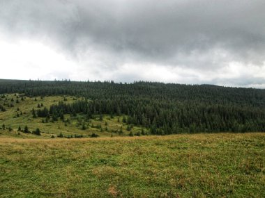 Uzak tepeler manzaralı sakin bir dağ çayırı.