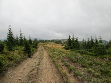Dağın yamacında dolambaçlı toprak bir yol