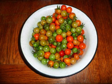 Sonbahar yağmurundan sonra taze toplanmış renkli domatesler.