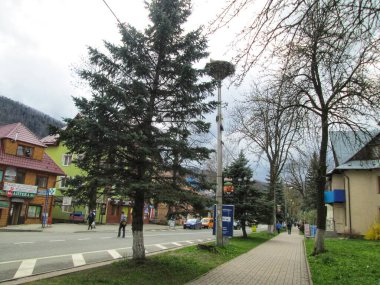 Stork Nest on a City Street. A white stork nest on an electric pole in a city. Photo taken at 10:31 a.m. on Monday, April 22, 2019 in Yaremche, Ivano-Frankivsk region, Ukraine clipart