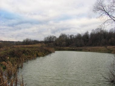 Bulutlu bir sonbahar gününde sakin bir gölet.