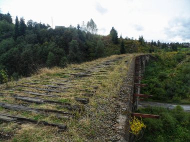 Çürüyen, terk edilmiş bir tren yolu ve çimlerle kaplanmış beton bir viyadük.