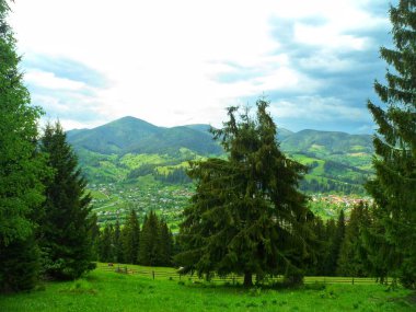 Dağ köyünün güzel çayır manzarası