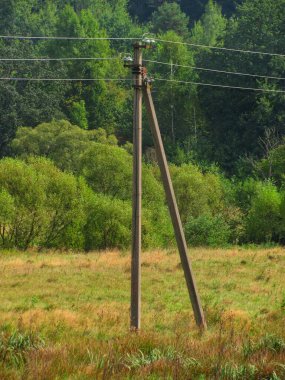 Güç hattı vahşi doğayla birlikte var oluyor.