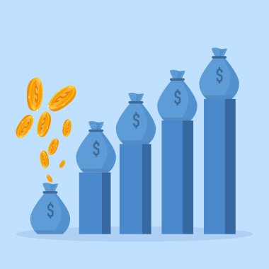 Revenue generation concepts, revenue growth with bullion and bags, financial strategies, return on investment, fundraising, long term fundraising.