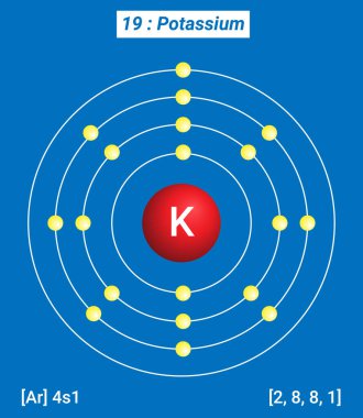 K Potasyum Element Bilgileri - Gerçekler, Özellikler, Eğilimler, Kullanımlar ve Karşılaştırma Elementlerin Periyodik Tablosu, Potasyum Kabuk Yapısı - Enerji seviyesi başına elektronlar