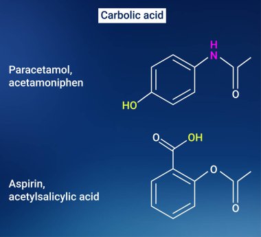 The structure of Carbolic acid