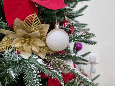 Üzerinde kırmızı yıldız süsleri olan bir noel ağacı.