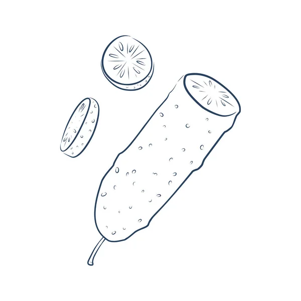 スライスしたキュウリの漬物の連続線画 新鮮な果物や野菜の一つのラインアートの概念 ベクトルイラストEps — ストックベクタ