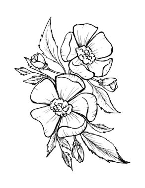 El çizimi siyah ve beyaz yapraklar çiçek illüstrasyon vektörü