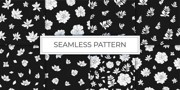 花のシームレスなパターンのコレクション多肉植物のグラフィックスケッチ手描き白と黒のイラストベクトル — ストックベクタ