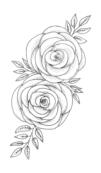 Esboço Desenhado Mão Preto Branco Folhas Flor Ilustração Vetor — Vetor de Stock