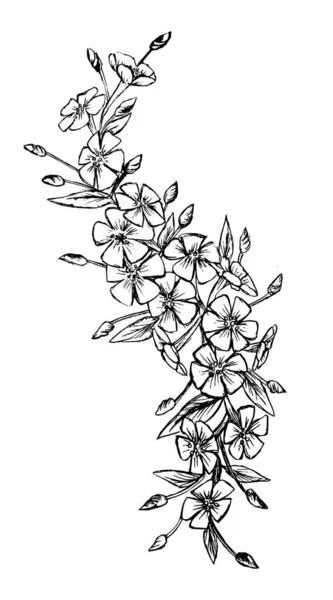 Croquis Lignes Dessinées Main Texture Fleurs Croquis Tatouage Illustration Vecteur — Image vectorielle