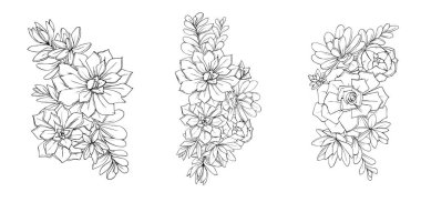 Çiçeklerin sulu çizimi. Grafik dekoratif element siyah ve beyaz illüstrasyon vektörü.