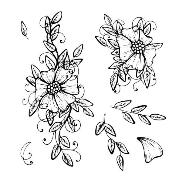 Reihe Von Objekten Skizze Handgezeichnete Linien Textur Blumen Skizze Tätowierung — Stockvektor