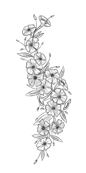 Květinová Grafika Ilustrace Náčrt Tetování Tisk Černá Bílá Skica Ilustrační — Stockový vektor