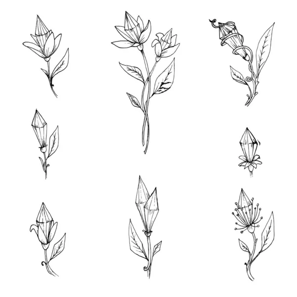 Reihe Von Objekten Skizze Hand Gezeichnete Linien Textur Blume Kristalle — Stockvektor