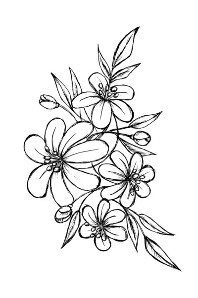 手描きスケッチ黒と白の葉の花のイラストベクトル — ストックベクタ