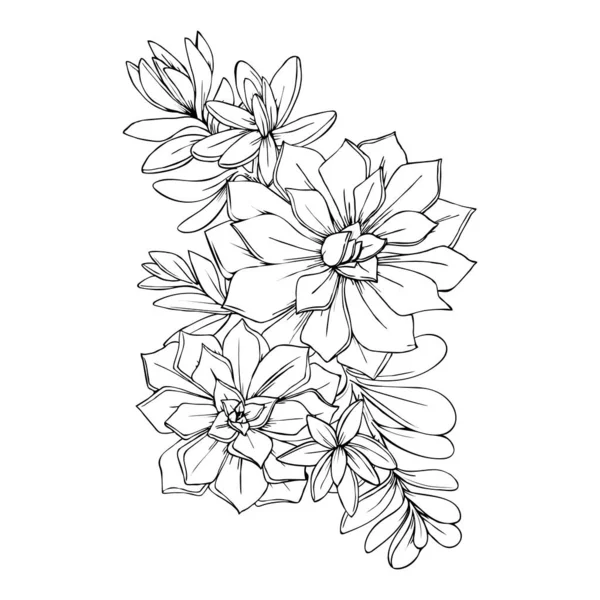 Illustration Fleurs Succulentes Élément Décoratif Graphique Vecteur Illustration Noir Blanc — Image vectorielle