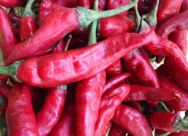 Büyük bir grup acı kırmızı biber.