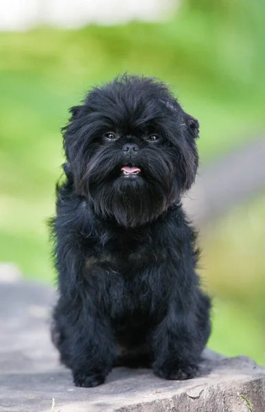 Parkta küçük siyah bir fener.