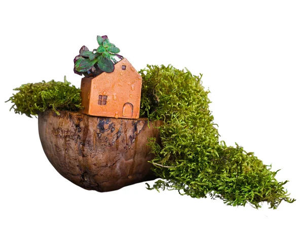 Moss and driftwood and a small house on a white background
