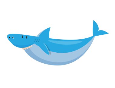 shark cartoon character vector illustration