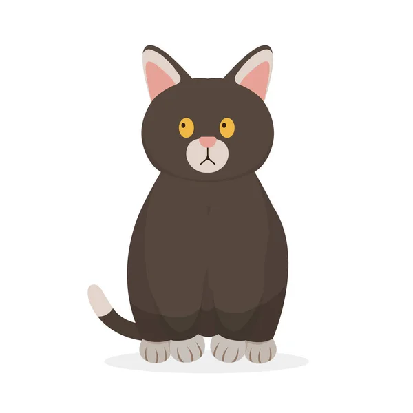 Cartoon Cat Pet Characters Illustration — Stock Vector