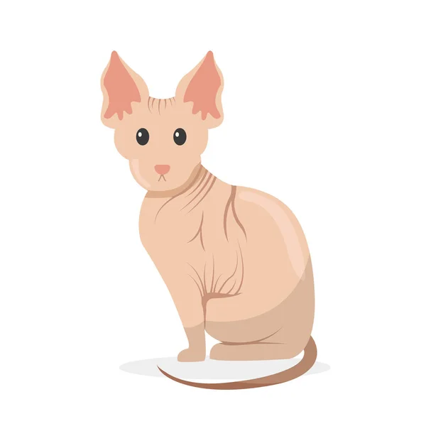 Gato Dibujos Animados Ilustración Personajes Mascota — Vector de stock