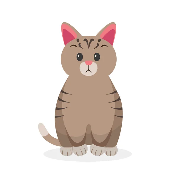 Chat Dessin Animé Illustration Caractères Animaliers — Image vectorielle