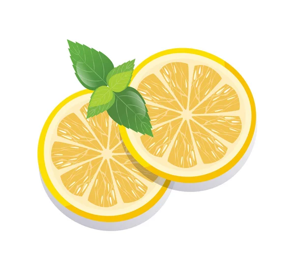 Свежие Нарезанные Лимонные Фрукты — стоковый вектор