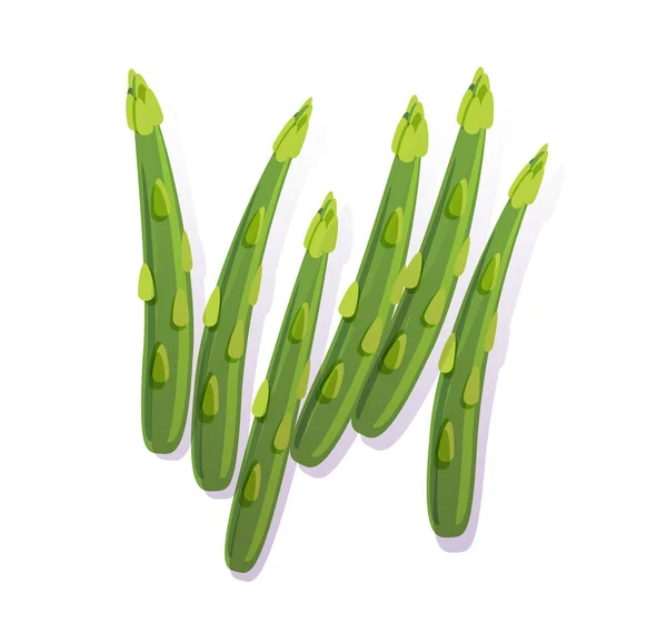 新鲜绿色芦笋分离病媒图解 — 图库矢量图片