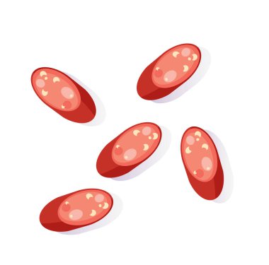 Kızarmış sosis izole edilmiş vektör çizimi