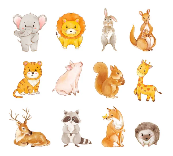 Set Animals Wildlife Cartoon Watercolor — Stock Vector
