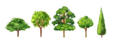 Yeşil ağaç suluboya vektör çizimi seti