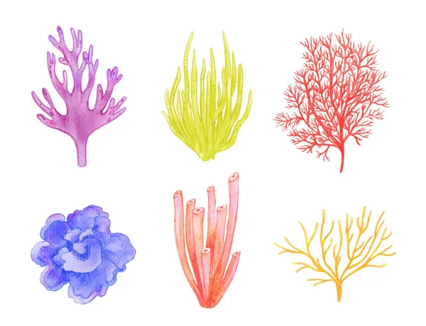 一套彩色珊瑚水彩画 — 图库矢量图片