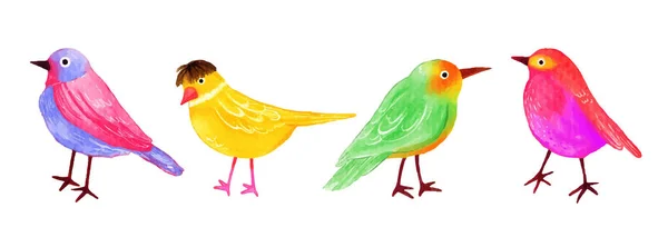 Bunte Niedliche Vogel Aquarell Vektor Illustration — Stockvektor