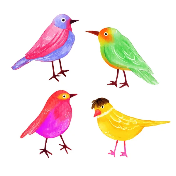 Renkli Şirin Kuş Suluboya Vektör Çizimi — Stok Vektör