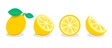 Sarı limon vektör çizimi