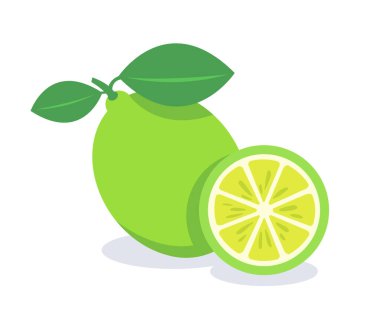 yeşil limon vektör illüstrasyonu