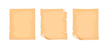 parşömen kağıdı vintage vektör çizimi