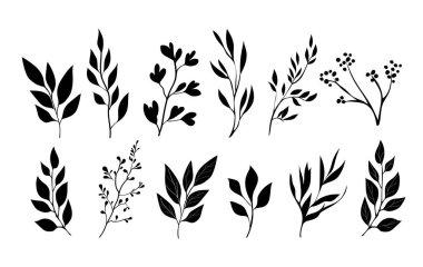 Yaprak dalı siluet vektör çizimi