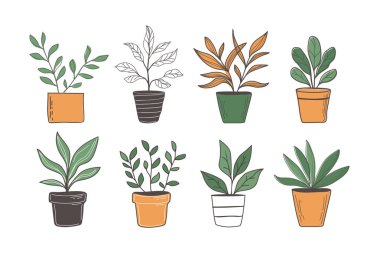 Esrar vektör illüstrasyonunda el çizimi bitki kümesi